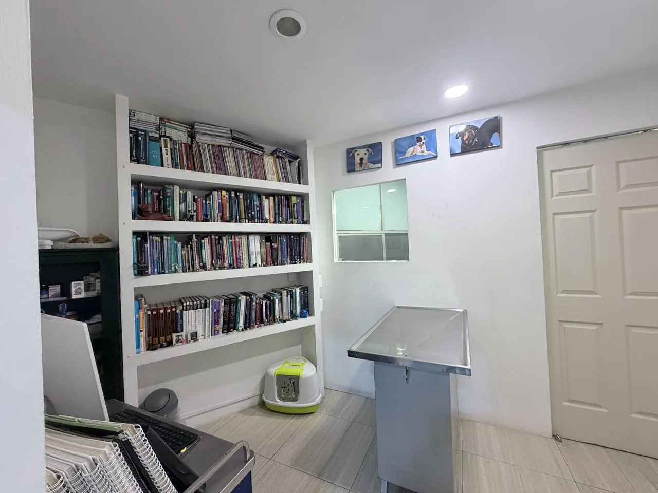 Consultorio con mesa de exploración, librero y cuadros de perros