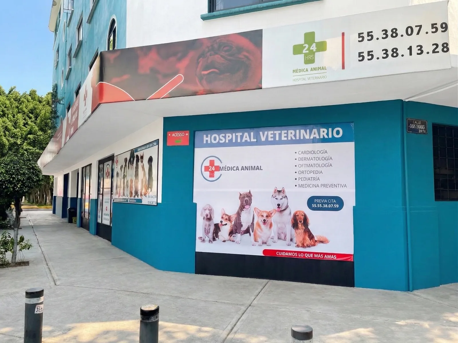 Fachada del Hospital Veterinario Médica Animal en esquina, con letrero de 24 horas y teléfonos