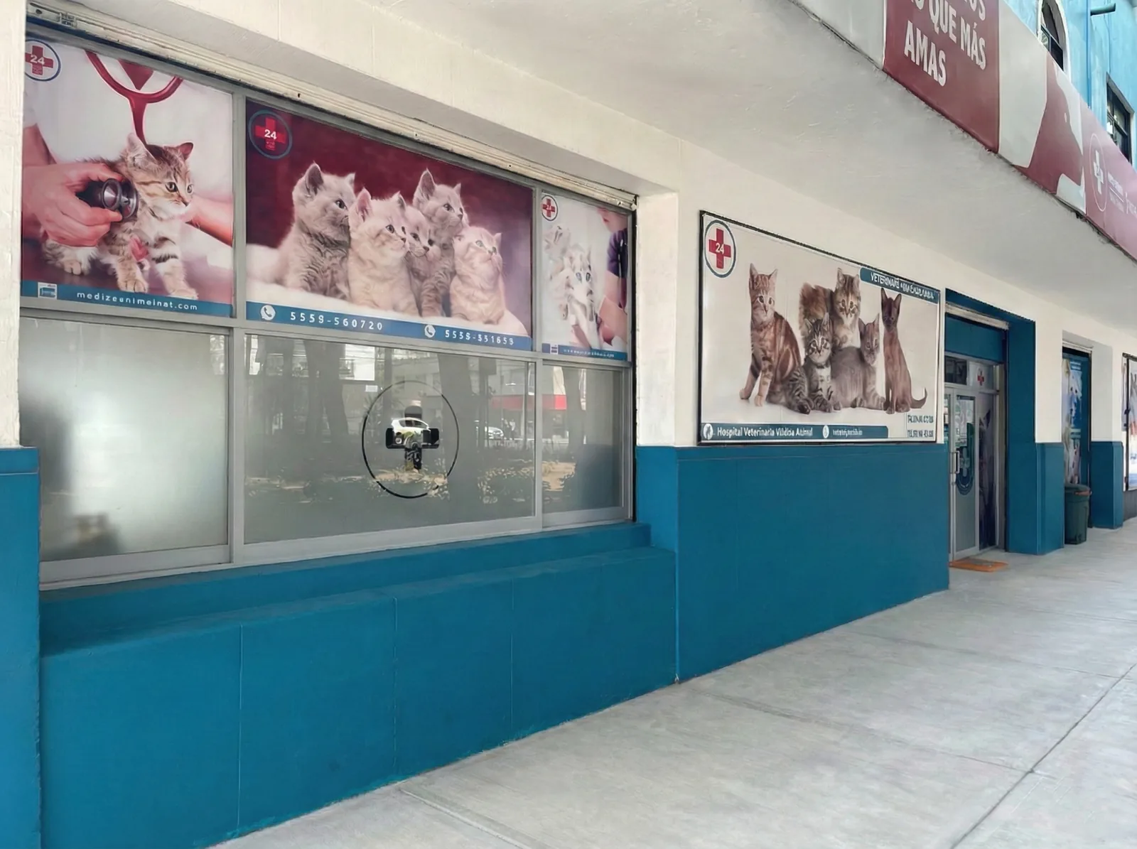 Fachada lateral del hospital con ventanales y lonas de gatitos