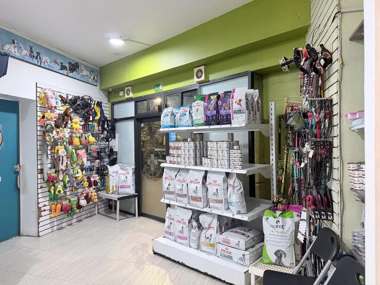 Tienda con juguetes, correas, alimento y accesorios para perros y gatos
